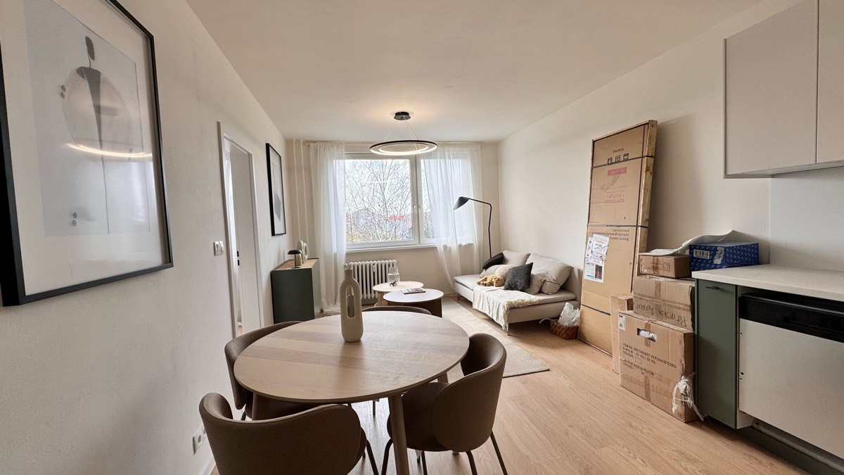 Profesionální stěhování - zabalené věci