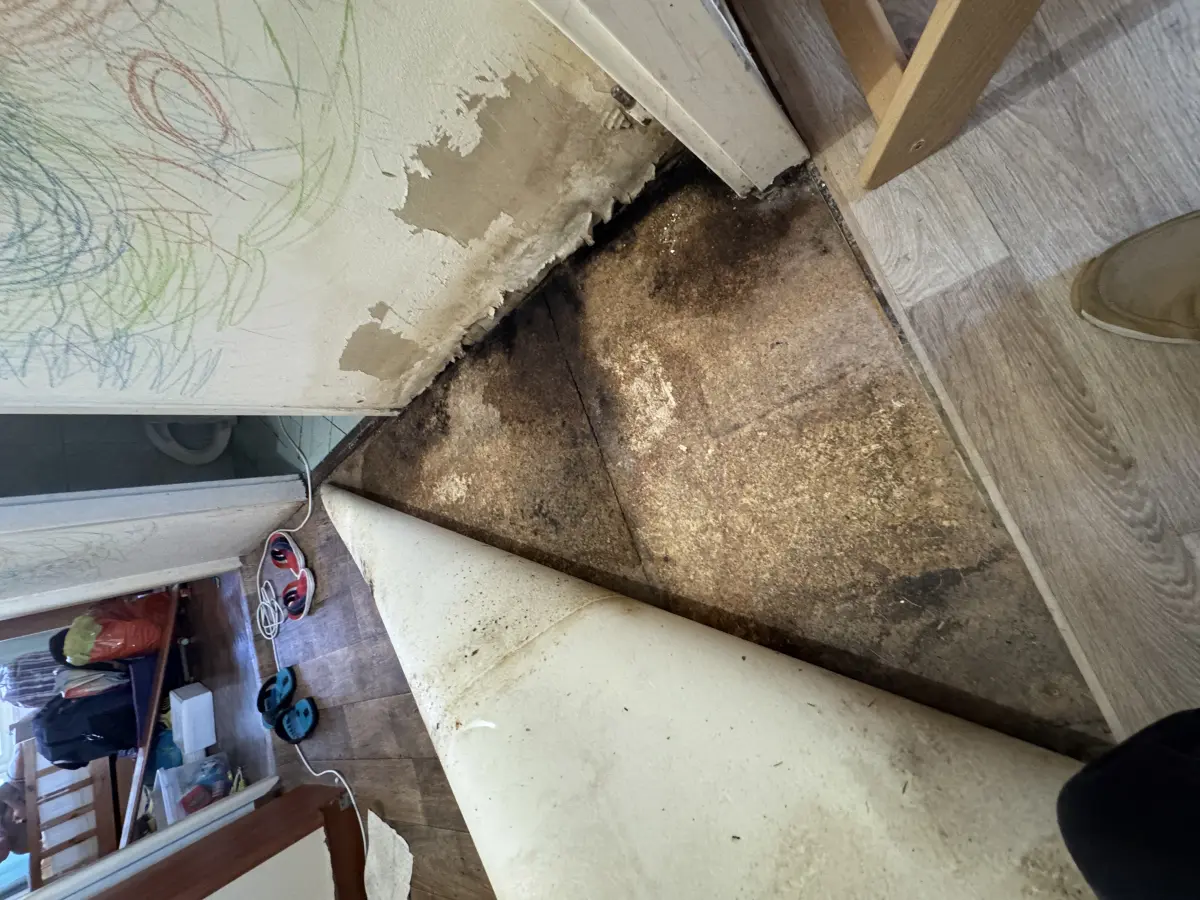 Rekonstrukce a vyklízení